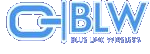 Blue Link Wireless